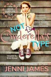 Not Cinderella’s Type