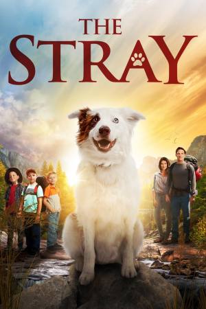 The Stray
