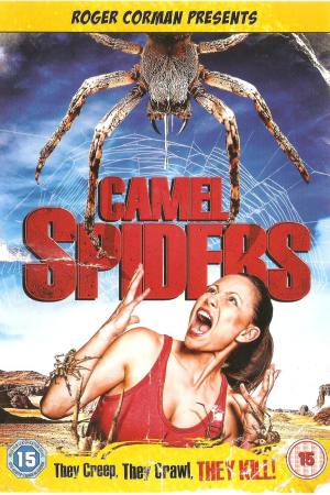 Camel Spiders