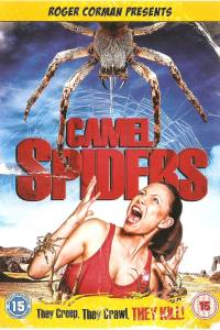 Camel Spiders