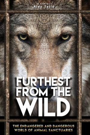 Furthest from the Wild