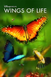 Disneynature: Wings of Life