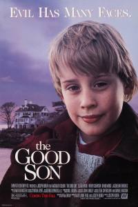 The Good Son