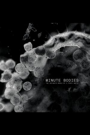 Minute Bodies: The Intimate World of F. Percy Smith