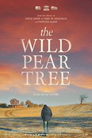 The Wild Pear Tree