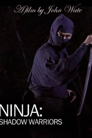 Ninja Shadow Warriors