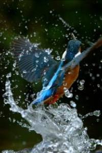 Ireland’s Wild River