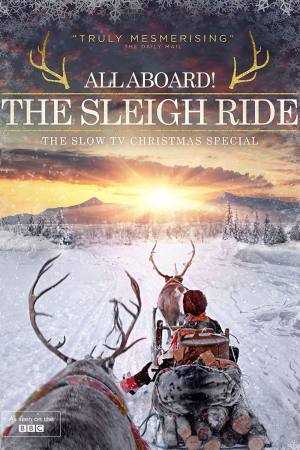 All Aboard! The Sleigh Ride
