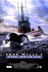 Free Willy 3: The Rescue