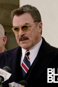 Blue Bloods Season 2 Episode 14