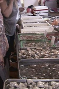 Top Chef Season 16 Episode 14