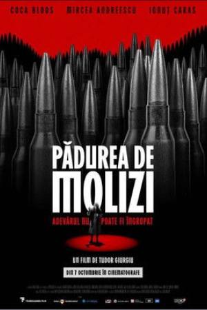 Padurea de molizi