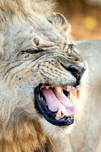 Kingdom Season 1 Episode 4