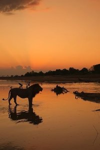 Kingdom Season 1 Episode 6