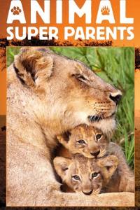 Animal Super Parents