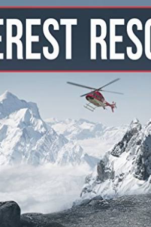 Everest Rescue