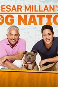 Cesar Millan’s Dog Nation