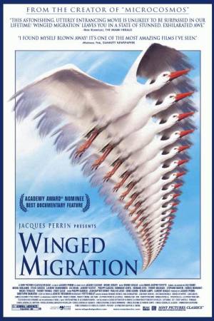 Winged Migration