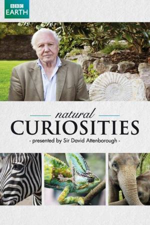 Natural Curiosities