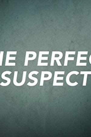 The Perfect Suspect