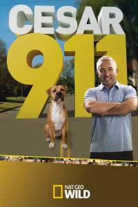 Cesar 911
