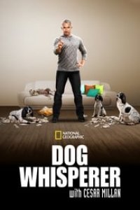 Dog Whisperer Season 1 Episode 26