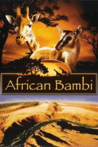 African Bambi