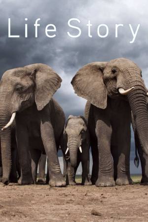 Life Story