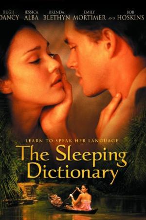 The Sleeping Dictionary