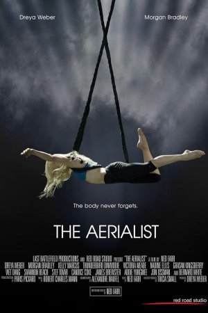 The Aerialist