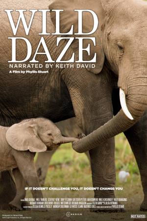 Wild Daze