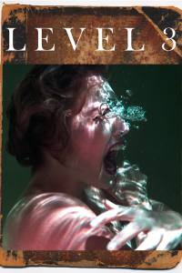 Level 3