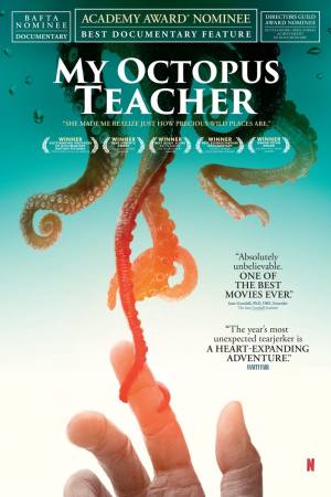 My Octopus Teacher