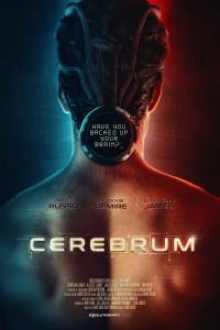 Cerebrum