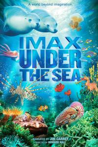 Under the Sea 3D