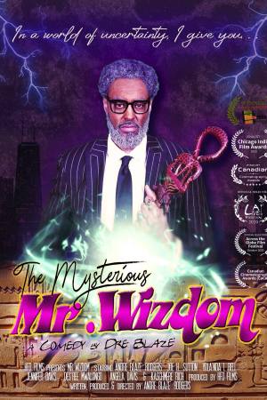 The Mysterious Mr. Wizdom