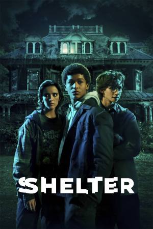 Harlan Coben’s Shelter