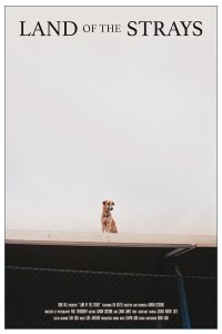 Land of the Strays