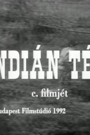 Indián tél