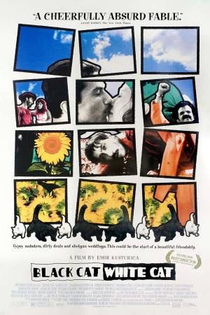 Black Cat, White Cat