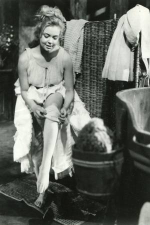 Die lustigen Weiber von Windsor