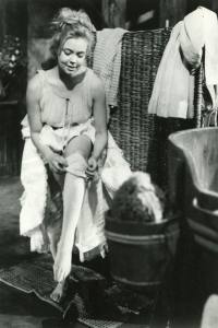 Die lustigen Weiber von Windsor