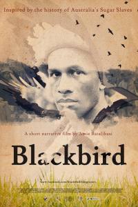 Blackbird