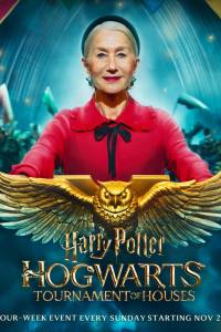 Harry Potter: Hogwarts Tournament of Houses