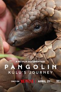Pangolin: Kulu’s Journey