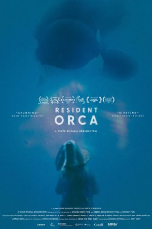 Resident Orca