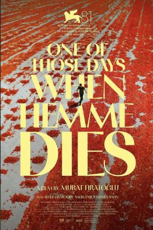 Hemme’nin öldügü günlerden biri