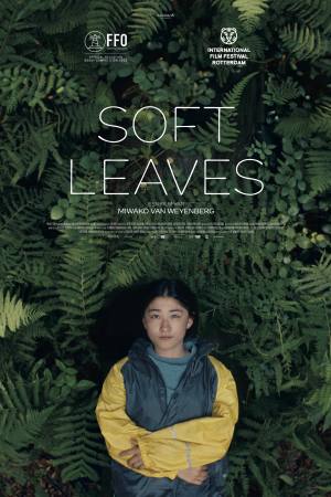 Soft Leaves