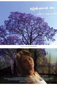 Espérame en otro mundo