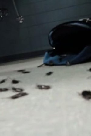 R. L. Stine's The Haunting Hour